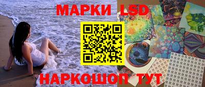 Альфа ПВП Ставрополь